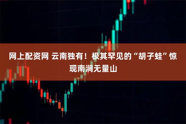 网上配资网 云南独有!极其罕见的“胡子蛙”惊现南涧无量山