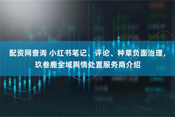 配资网查询 小红书笔记、评论、种草负面治理，玖叁鹿全域舆情处置服务商介绍